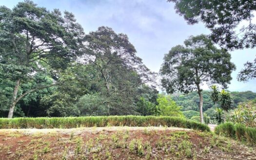 2,891m of usable land with a stream and trees – 400052042156