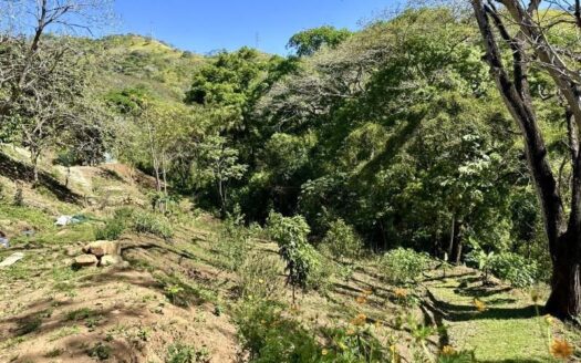 Property with forest and ready to continue with construction. Choose your design or follow the construction plans. – 400052042121