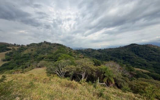 193 ACRES OF PACIFIC VIEWS, FOREST & UNLIMITED POSSIBILITY – 400051521133