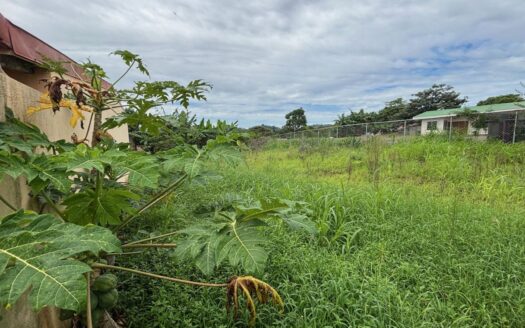 Lot close to town center in a private area of Atenas – 400051521053