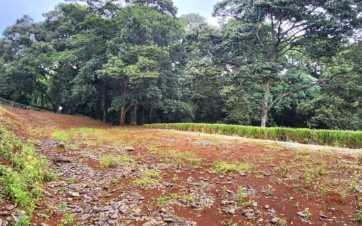 2,891m of usable land with a stream and trees – 400052042156