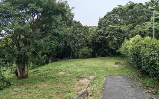 Property surrounded by nature while still having access to essential amenities – 400052042075