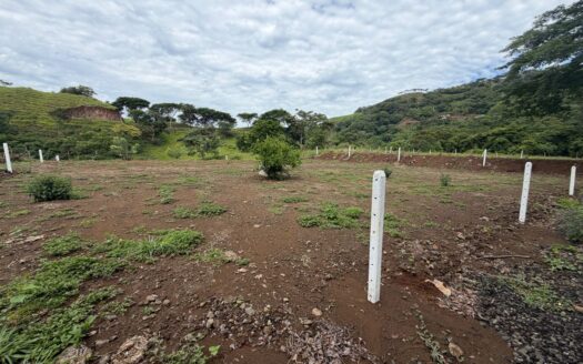 2 new lots in new community 7 minutes from highway 27 – 400051521174
