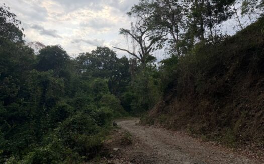 193 ACRES OF PACIFIC VIEWS, FOREST & UNLIMITED POSSIBILITY – 400051521133