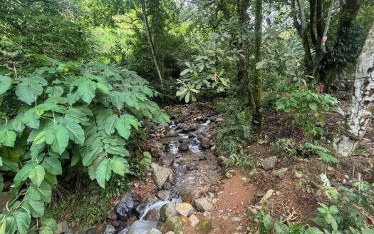 Farm like property with 2 homes near stream in Desmonte – 400051521080
