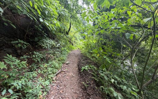 Minas del Aguacate — 14 Acres of Jungle, Waterfalls & Costa Rican Mining History, 20 Minutes from Atenas – 400051521163