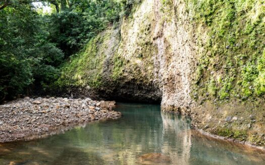 Property with views, river, forest, mango plantation and potential to develop any project. – 400052042168