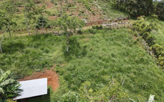 Property for Sale in San Ramón – 7.6 Hectares, Ideal for Development, with Mountain Views – 400051521015